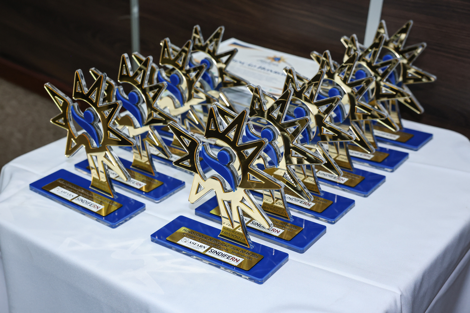 Foto do álbum PREMIAÇÃO DOS GANHADORES DO PEEF RN 2026