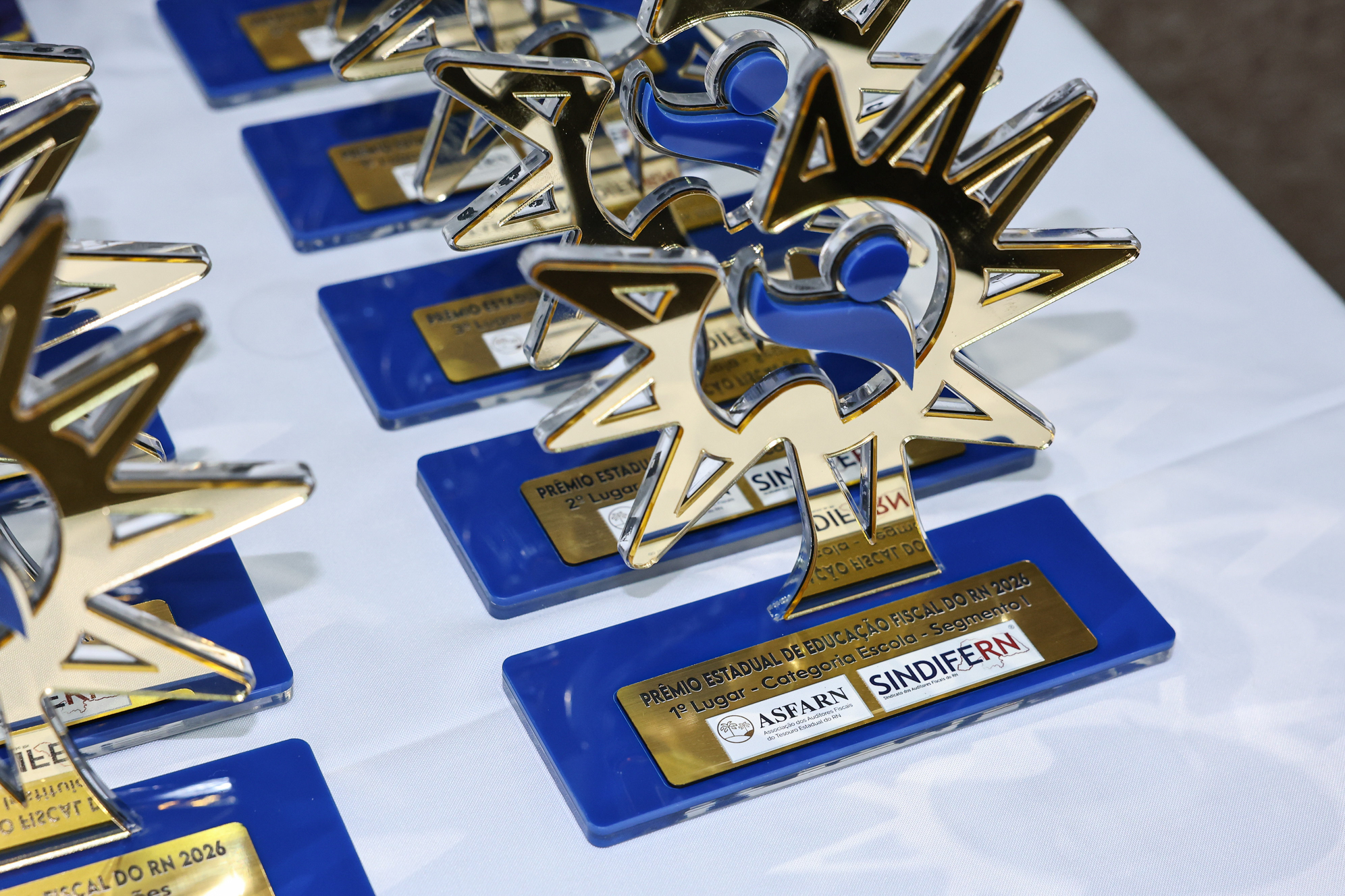 Foto do álbum PREMIAÇÃO DOS GANHADORES DO PEEF RN 2026