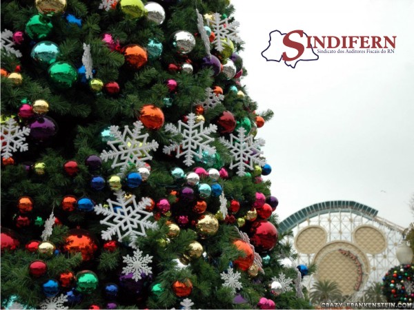 Imagem da notícia FELIZ NATAL E UM PRÓSPERO ANO NOVO!!