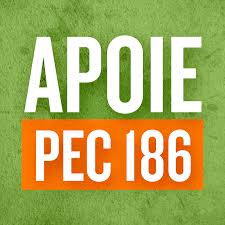 Imagem da notícia CAMPANHA PELA APROVAÇÃO DA PEC 186 BUSCA APOIO DOS NOVOS DEPUTADOS FEDERAIS