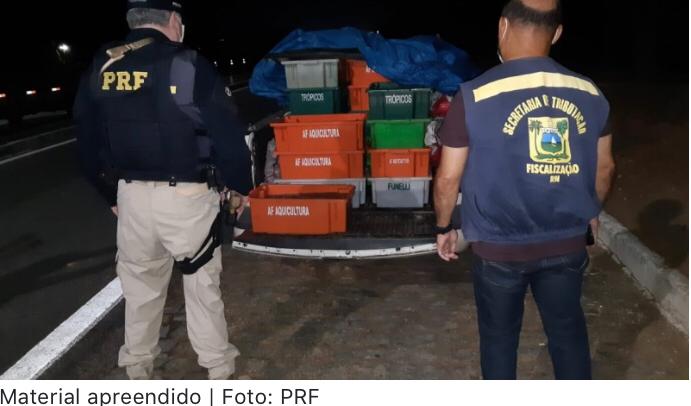 Imagem da notícia Fisco RN e Polícia Rodoviária Federal apreendem mercadorias ilegais em Lajes-RN