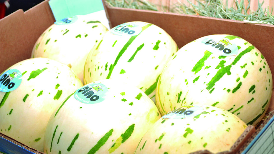 Imagem da notícia Expofruit 2023 espera movimentar R$ 80 milhões na fruticultura do estado