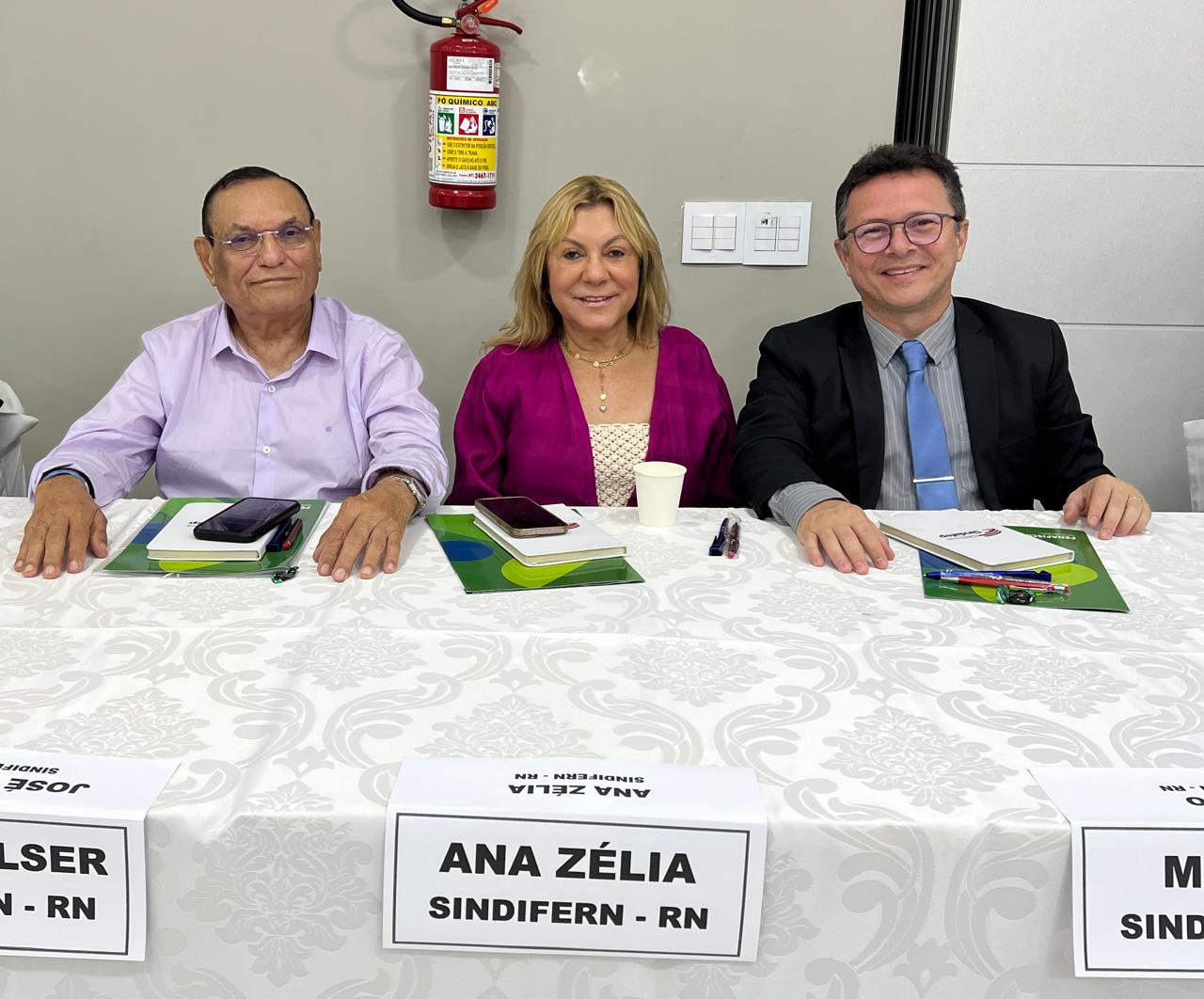 Imagem da notícia SINDIFERN PARTICIPA DA  1ª REUNIÃO EXTRAORDINÁRIA DO CD DA FENAFISCO EM 2025